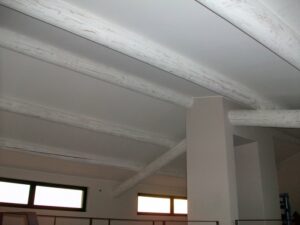 charpente-de-sejour-en-poutre-ronde