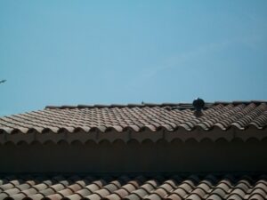 couverture-gelis-avec-pose-de-velux